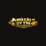 nhacaiuytinbizz