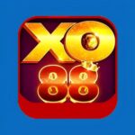xo88