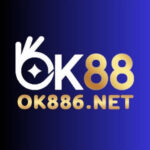 ok886net