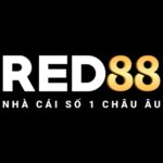 red88forextop