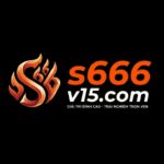 s666v15com
