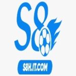 s8hitcom