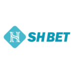 shbet800com11