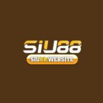Siu88