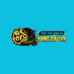 socoliveworks1