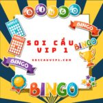 soicauvip1