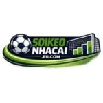 Soi Kèo Nhà Cái