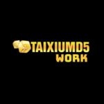 taixiumd5work