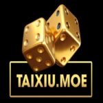 taixiumoe1