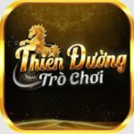 tdtcvncocom