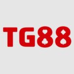 tg884com