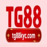 tg88kyccom