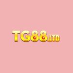 tg88ltd