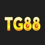 tg88vnonline