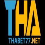 Thabet771net1