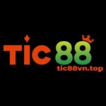 tic88vntop