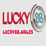 trangchulucky88
