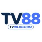 TV88