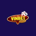 vinbetaclub1