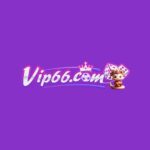 vip66agency