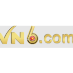 VN6