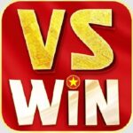 VSWIN
