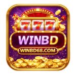 winbd