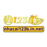 wwwnhacai123binnet