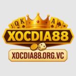 xocdia88betinnet