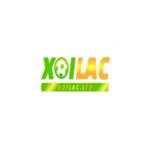 Baolocagency2026@