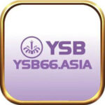 YSB66 ASIA