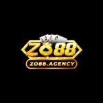 ZO 88