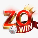 Zowin nl